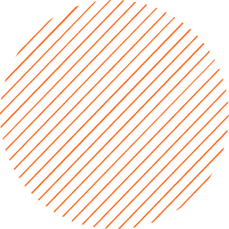 Explore Northeast India's Beauty with Lazytrip